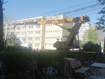 Primăria Constanţa, detalii despre activităţile Serviciului Administrare Spaţii Verzi 